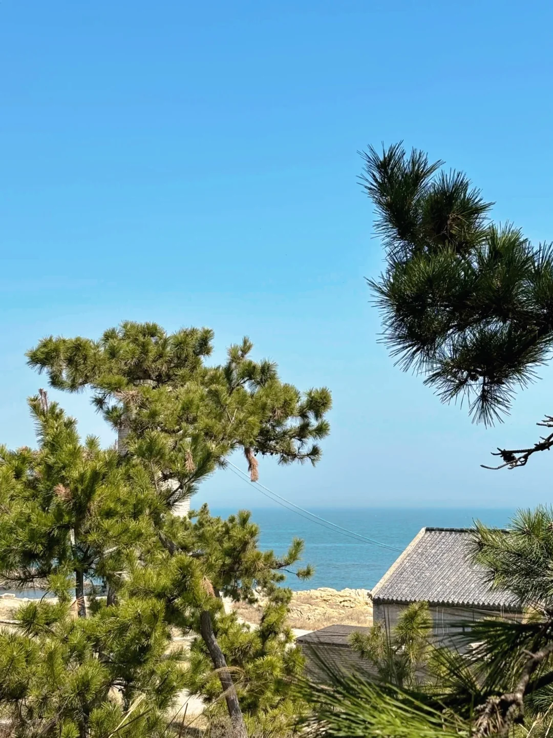 日照清明节保姆级攻略✅90%景点免费‼️