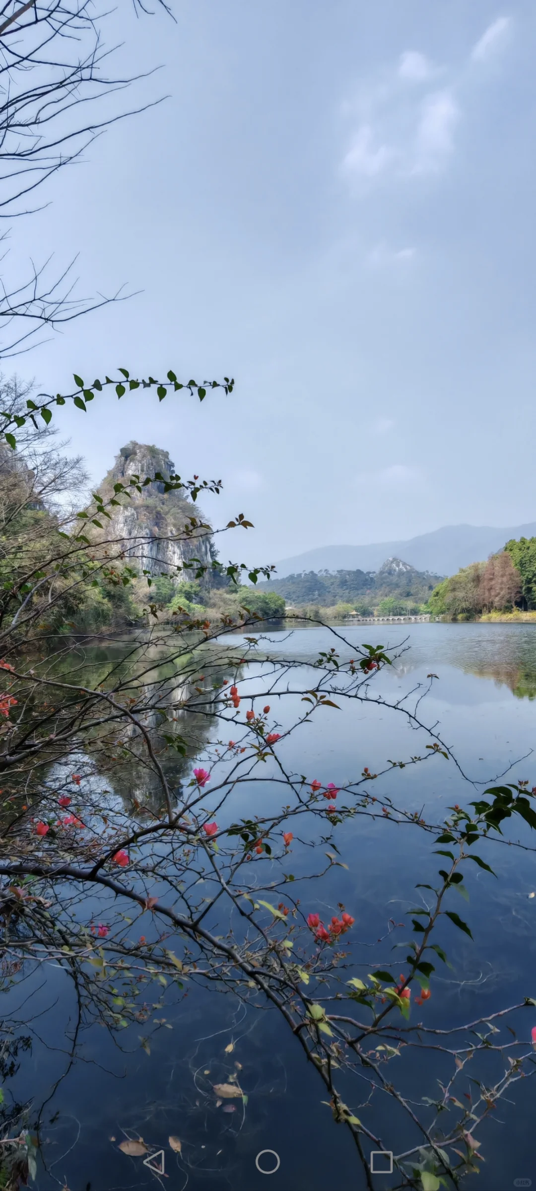 北京至广东肇庆自驾游