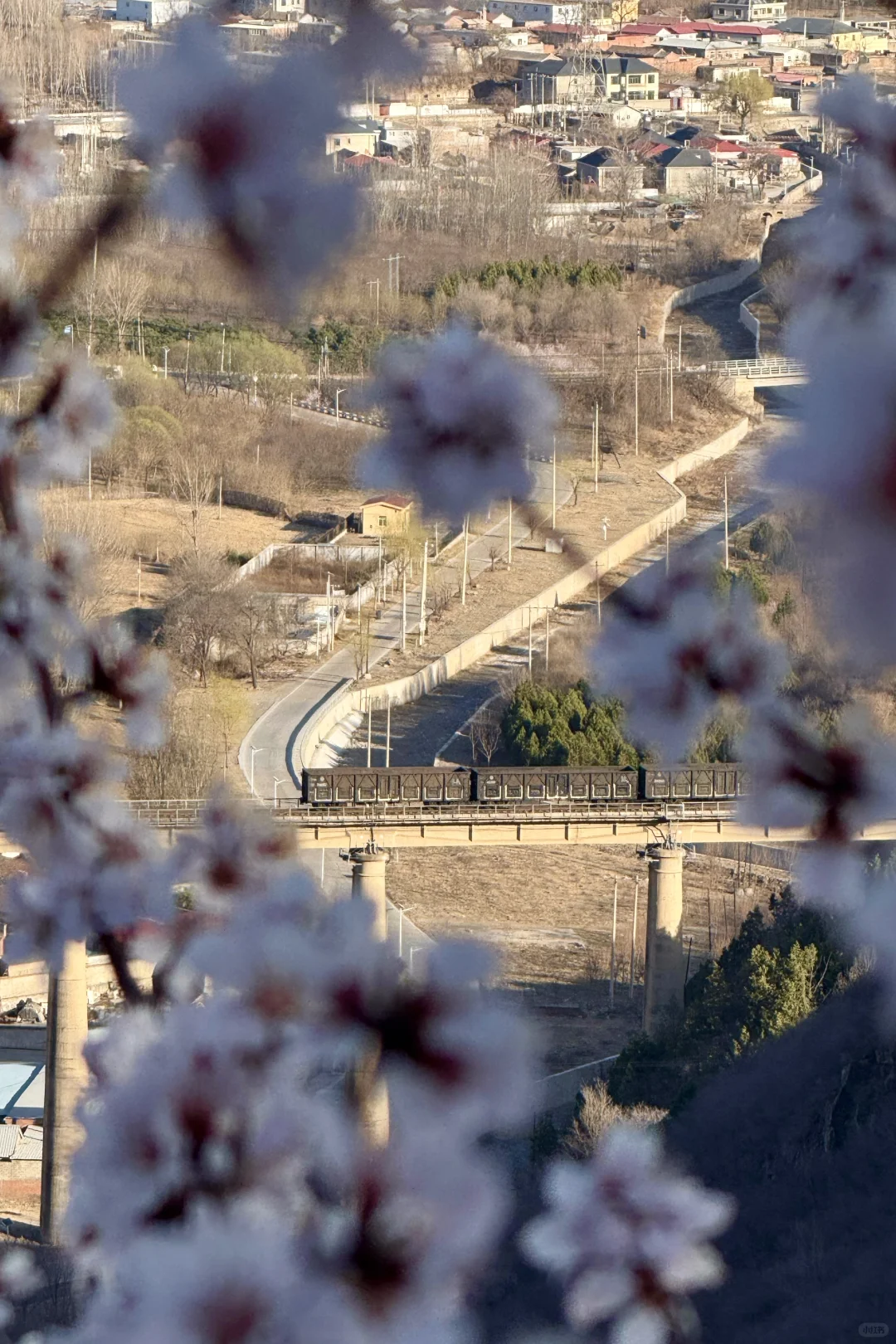 别再挤白虎涧‼️房山小众无人山谷太美🌸
