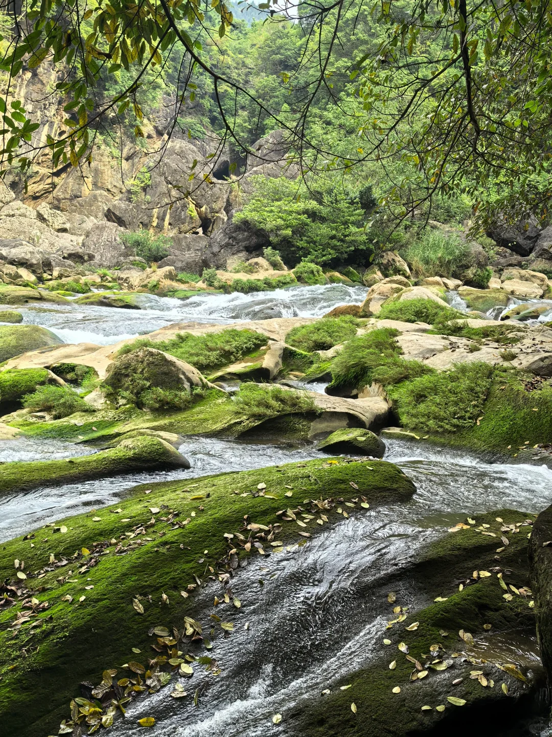 黄果树瀑布｜人生必打卡的“中华第一瀑”