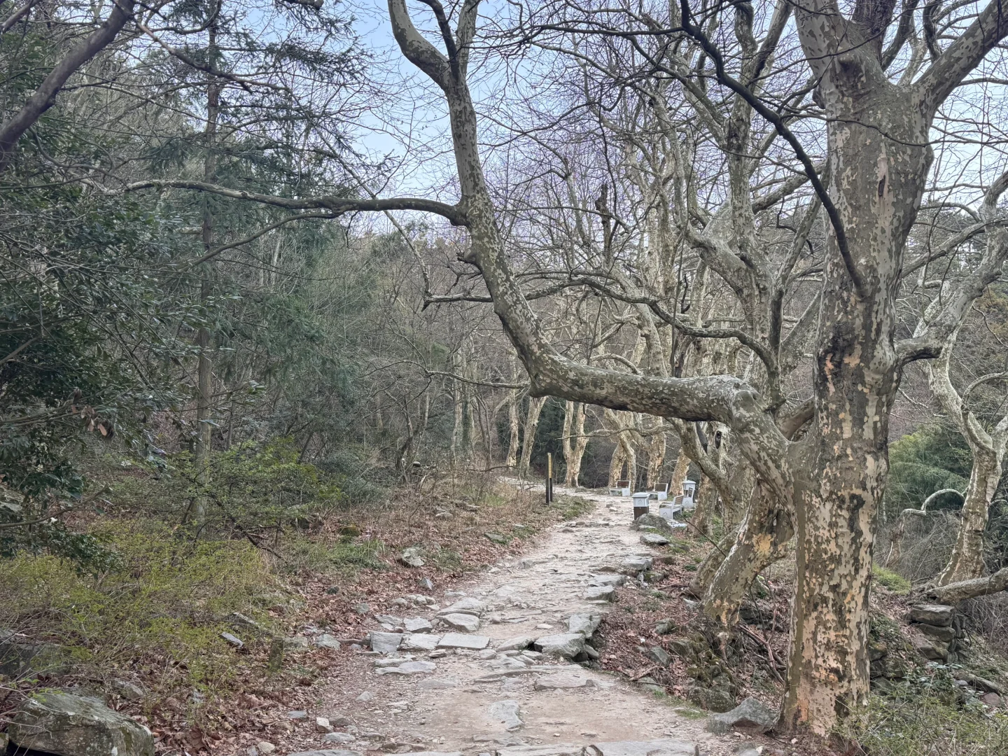 庐山已回，单人一日从好汉坡徒步出发东门下