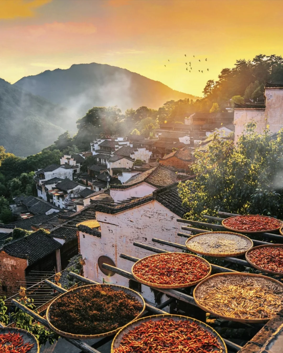 春天怎么能不来婺源看油菜花呢