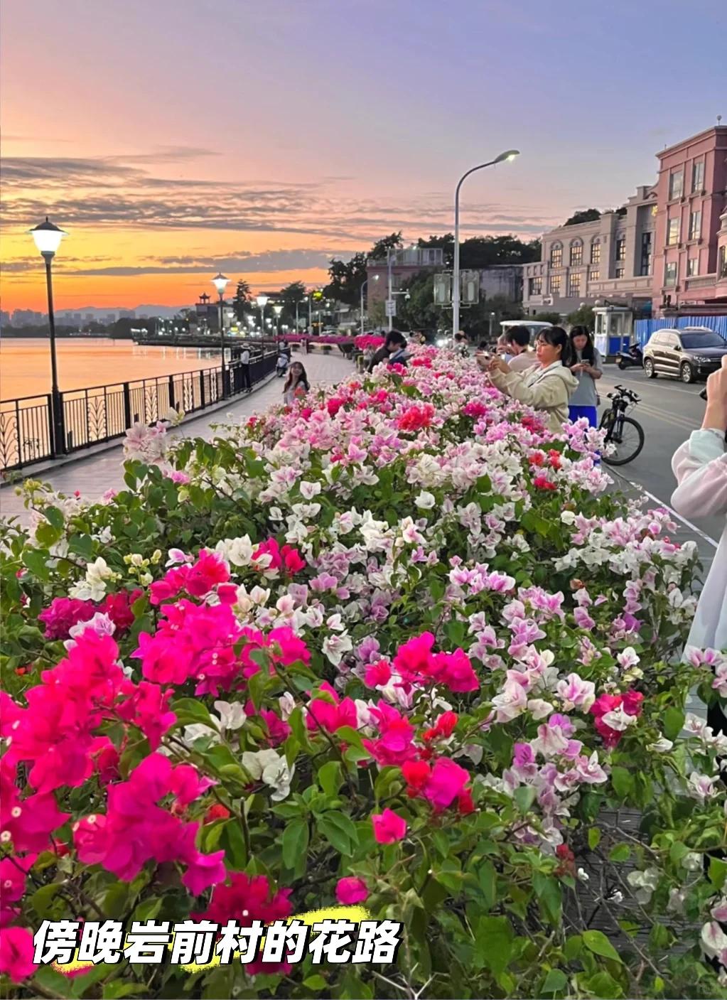 肇庆七星岩｜春日已成花海 赏花最全攻略来啦