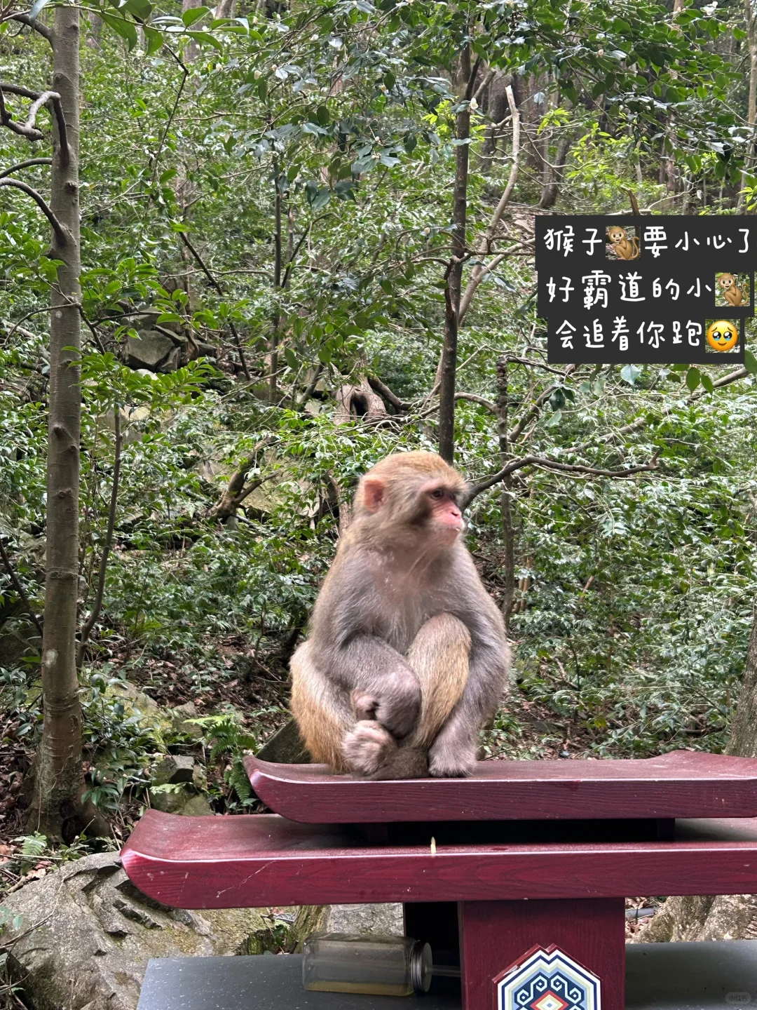 02年女大|春游计划之出游攻略