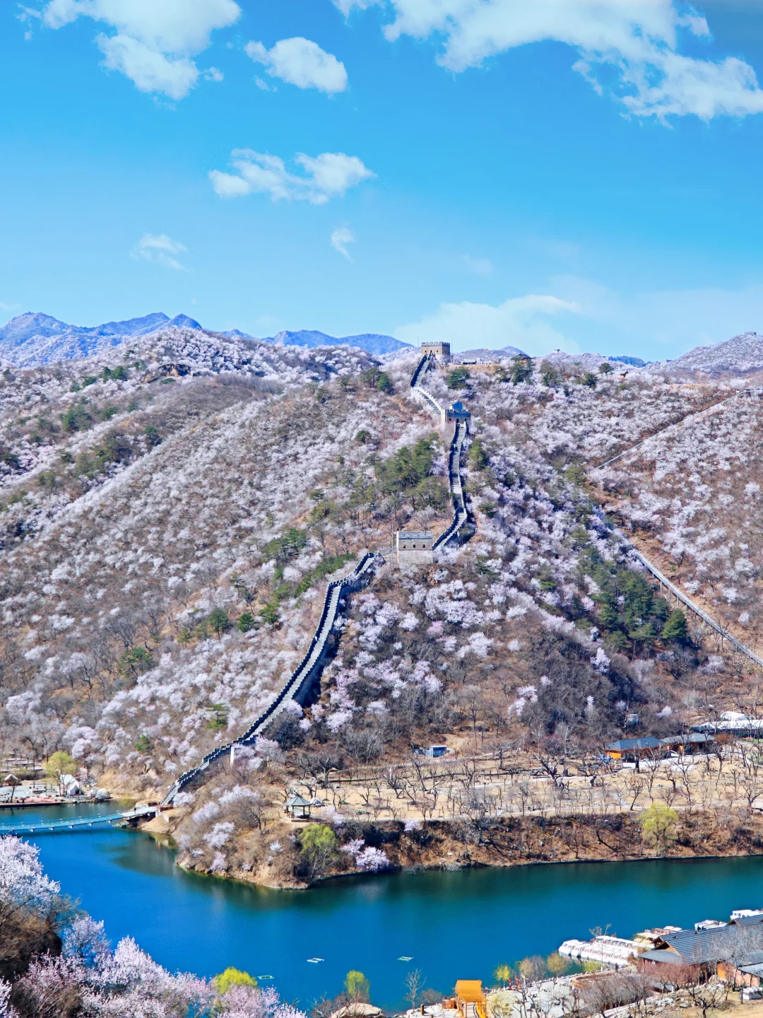 3.24实拍丨在北京我找到了林芝的平替