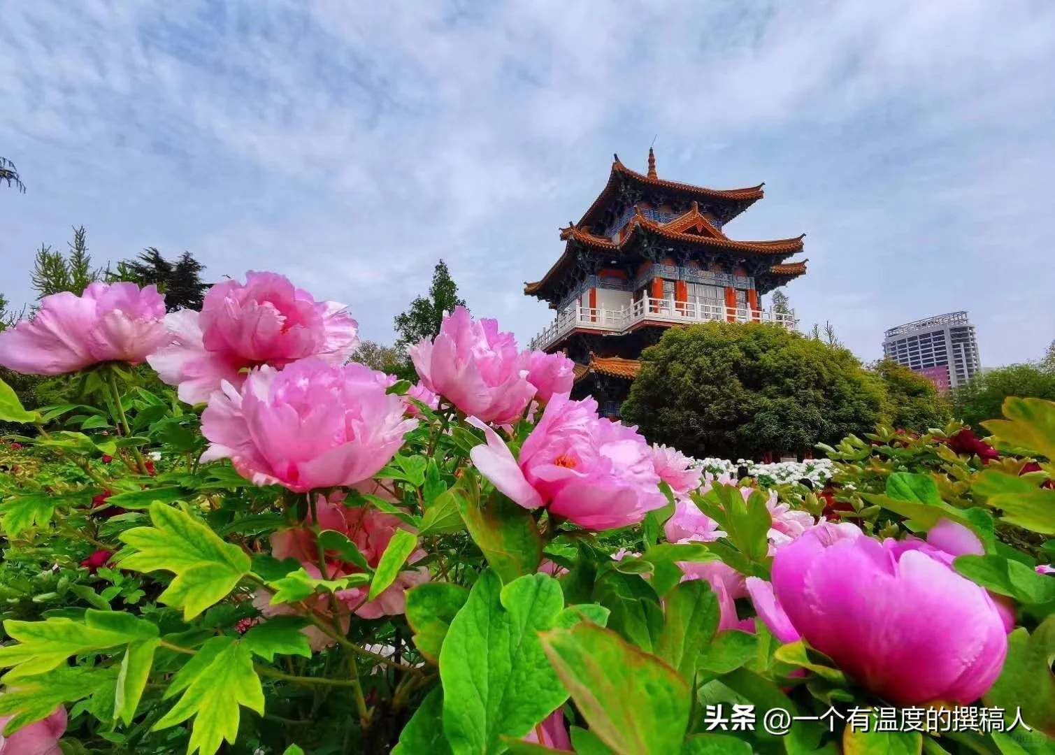 适合三月下旬到清明节前旅游的地方