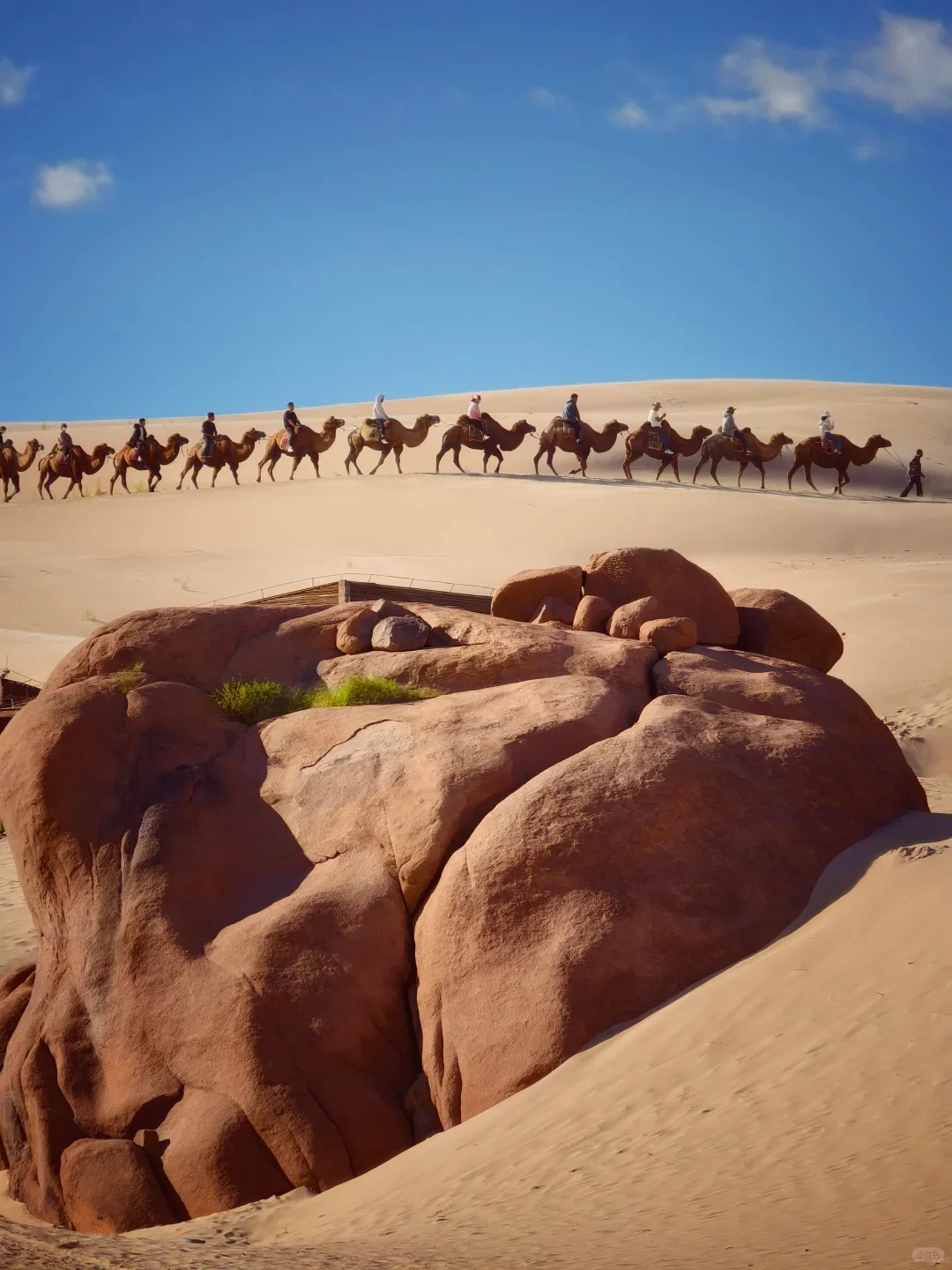 人生建议：6-8 月有空一定得去内蒙古‼️