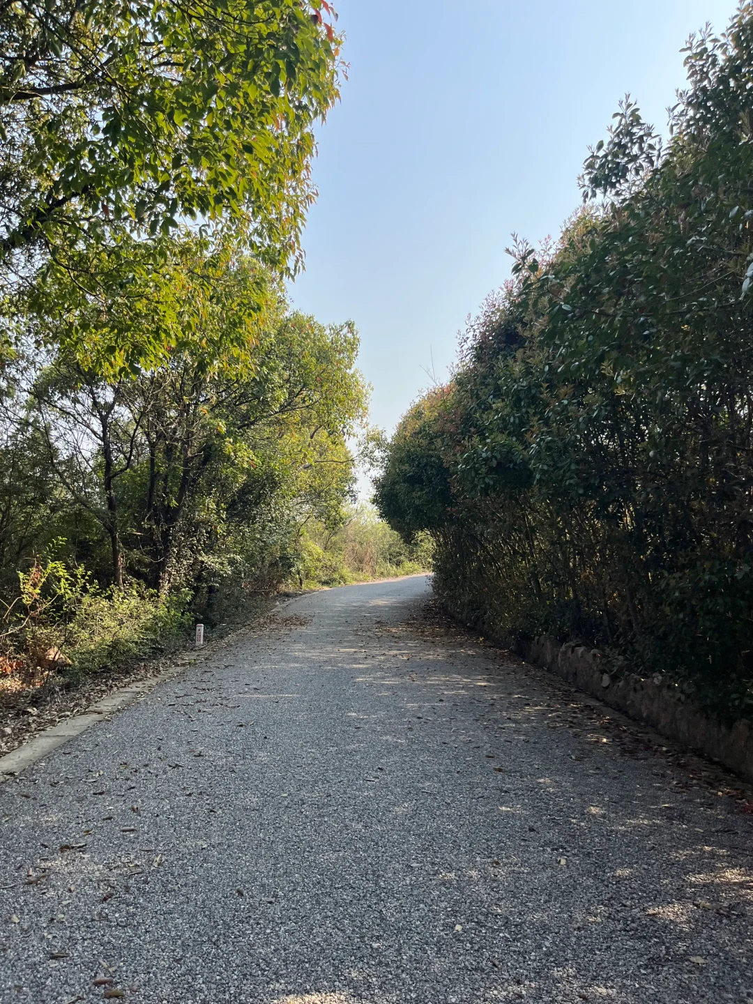 🚄上海周中徒步｜苏州莫厘峰小环线吸氧记