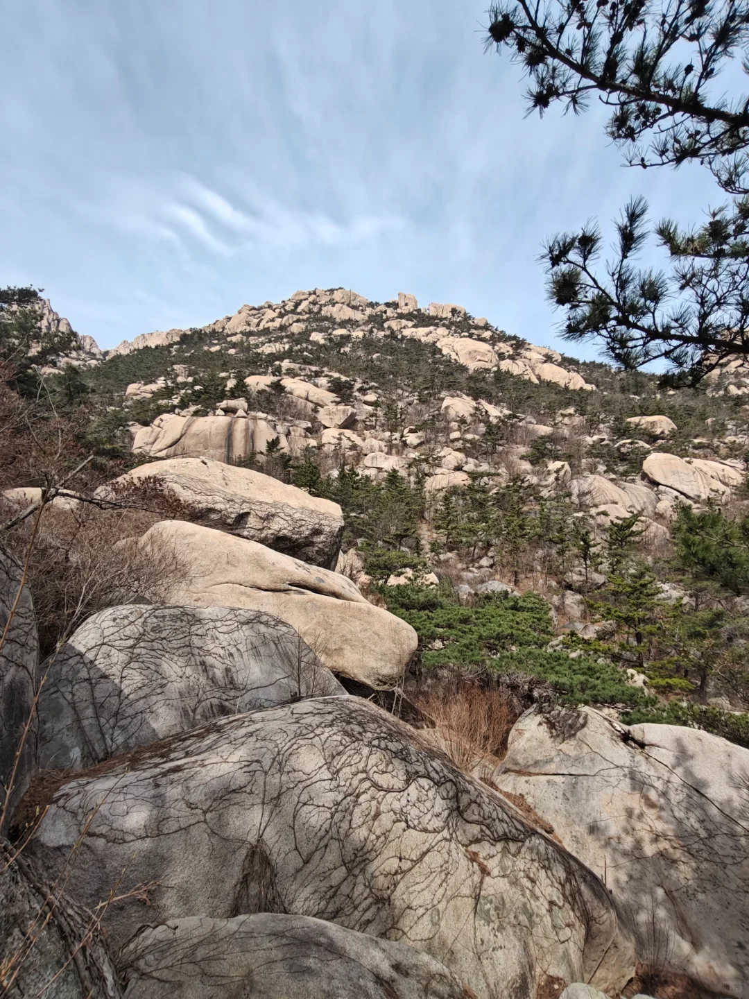 登山真的很快乐～⛰️