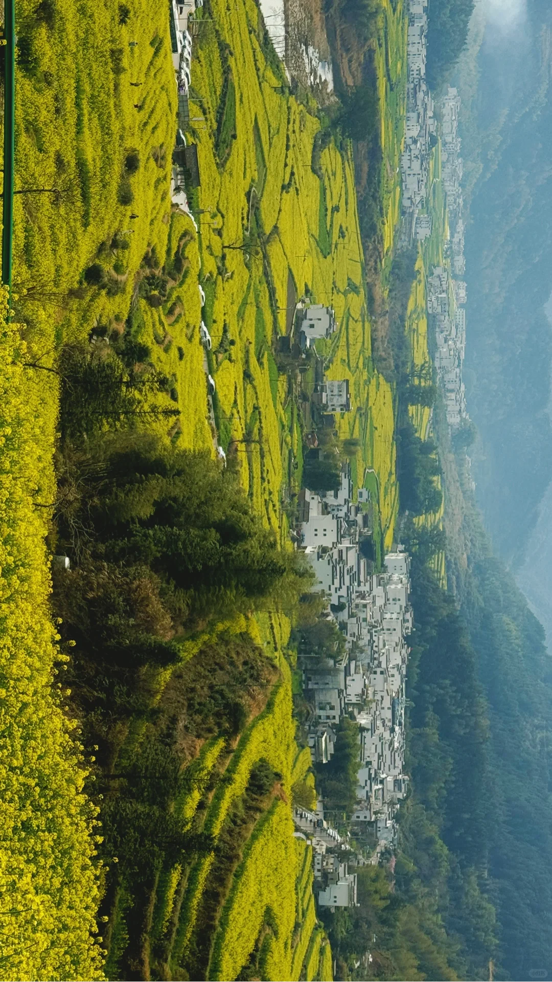 江岭溜腿的仨小时🫴🏻