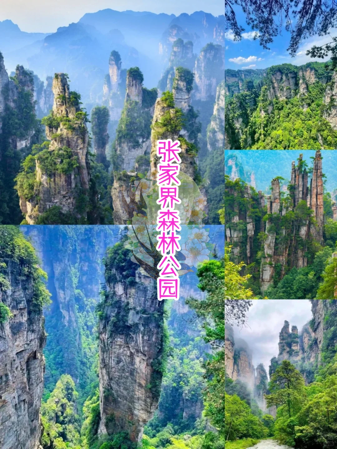 张家界踏春5天4晚超全旅游攻略来啦,人均600