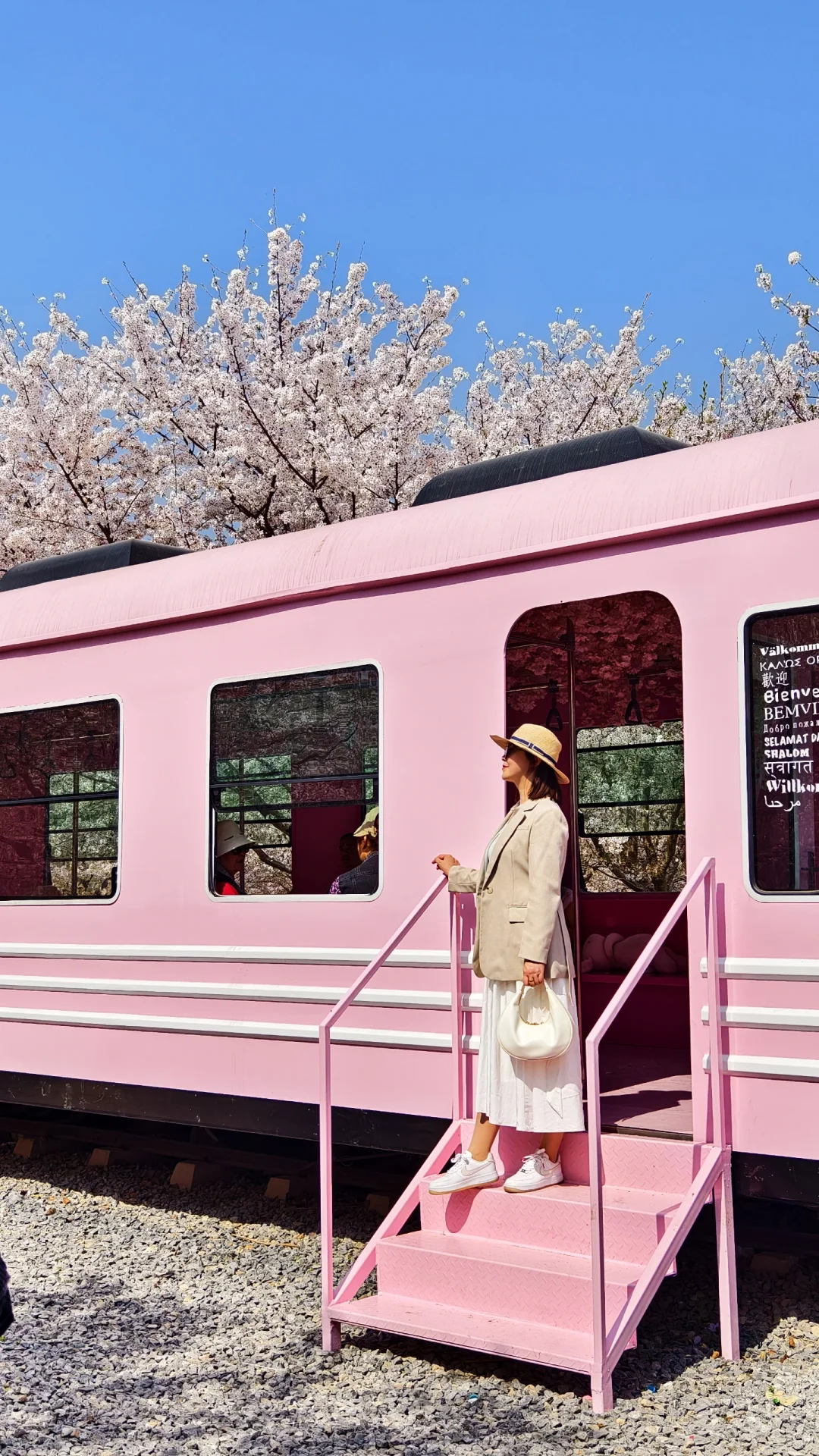 郑州赏花第5期：丰乐樱花园赏樱花攻略