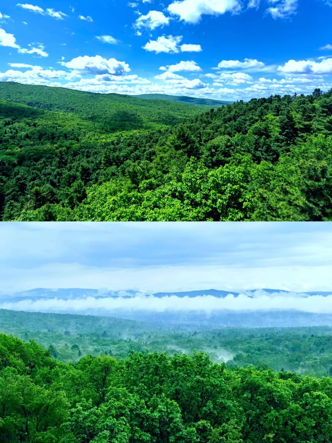 伊春最值得游玩的十个景区‖收藏备用