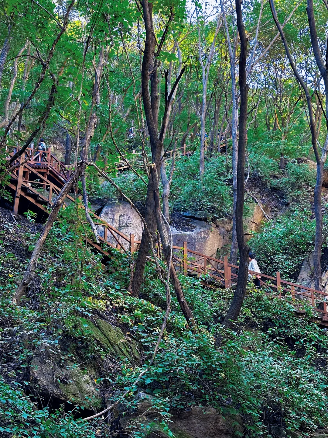 昌平云端步道将开放！清明好去处！附攻略