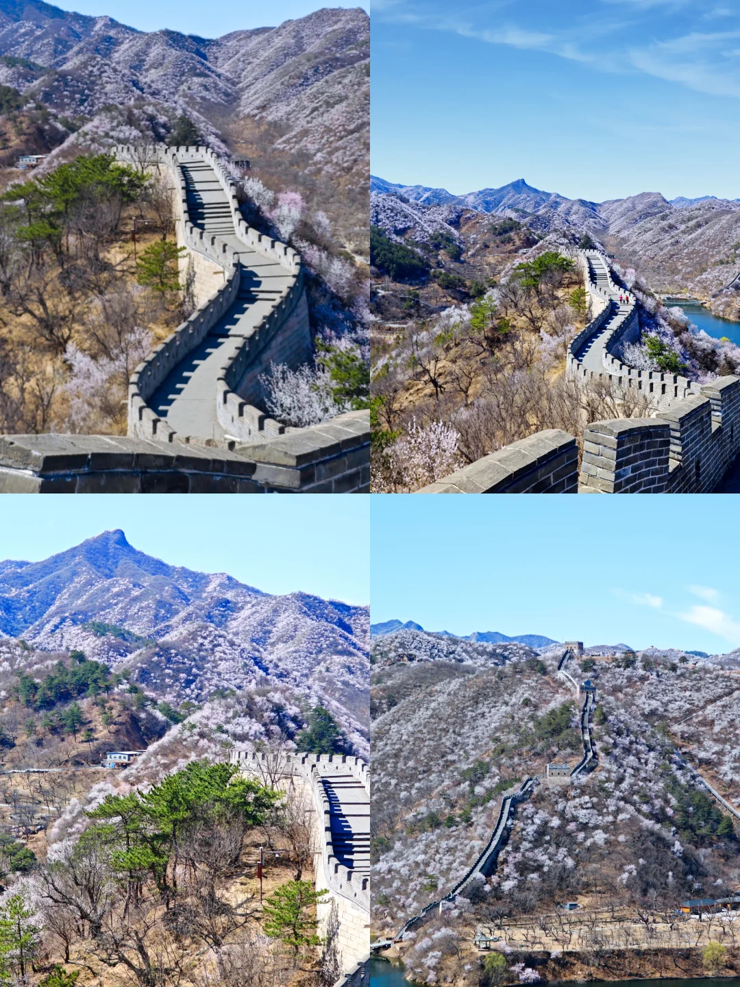 3.24实拍丨在北京我找到了林芝的平替