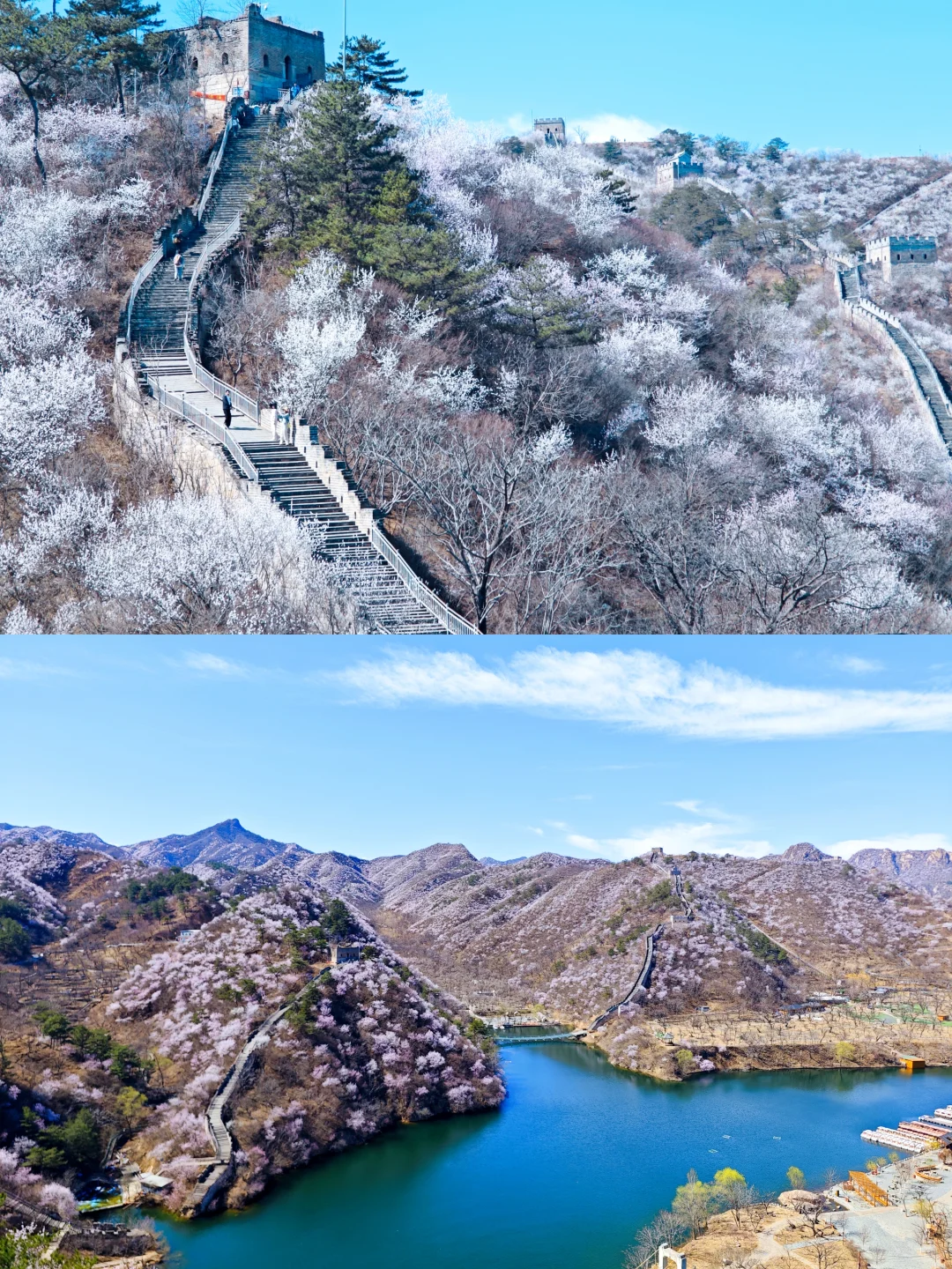 3.24实拍丨在北京我找到了林芝的平替