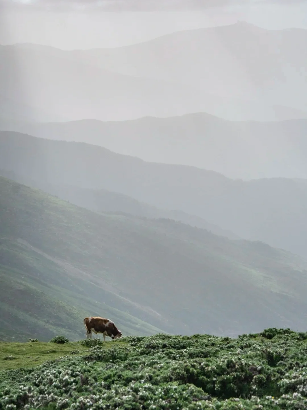 山西拍了拍你,邀请你来上春“山”⛰️