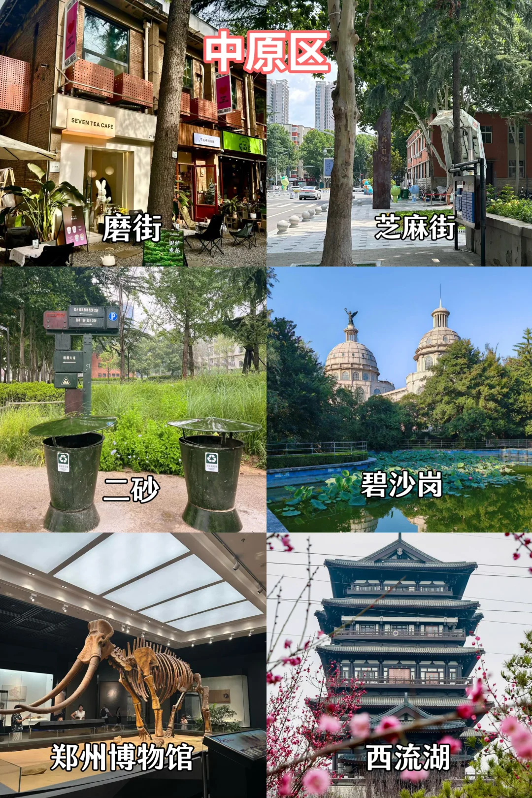 郑州旅游｜主城九区景点合集✅浪漫打卡地