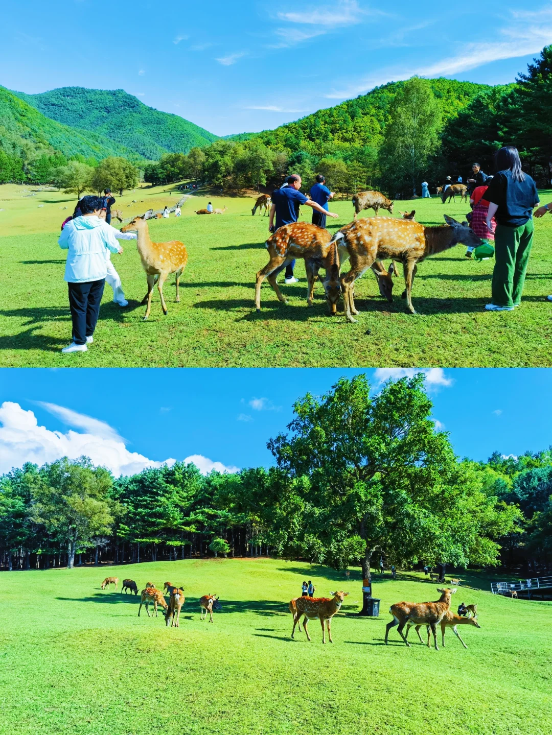 伊春最值得游玩的十个景区‖收藏备用