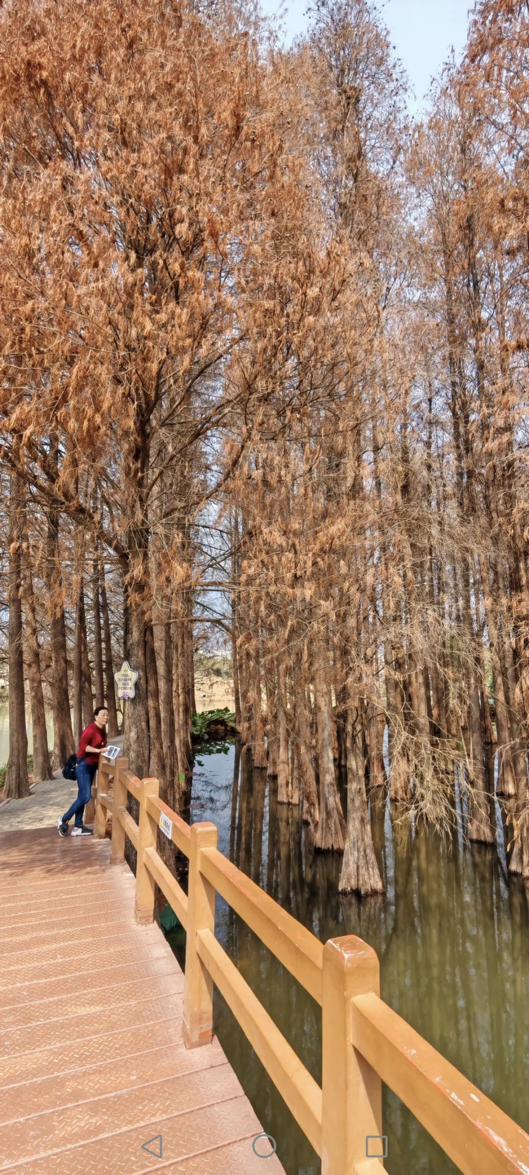 北京至广东肇庆自驾游