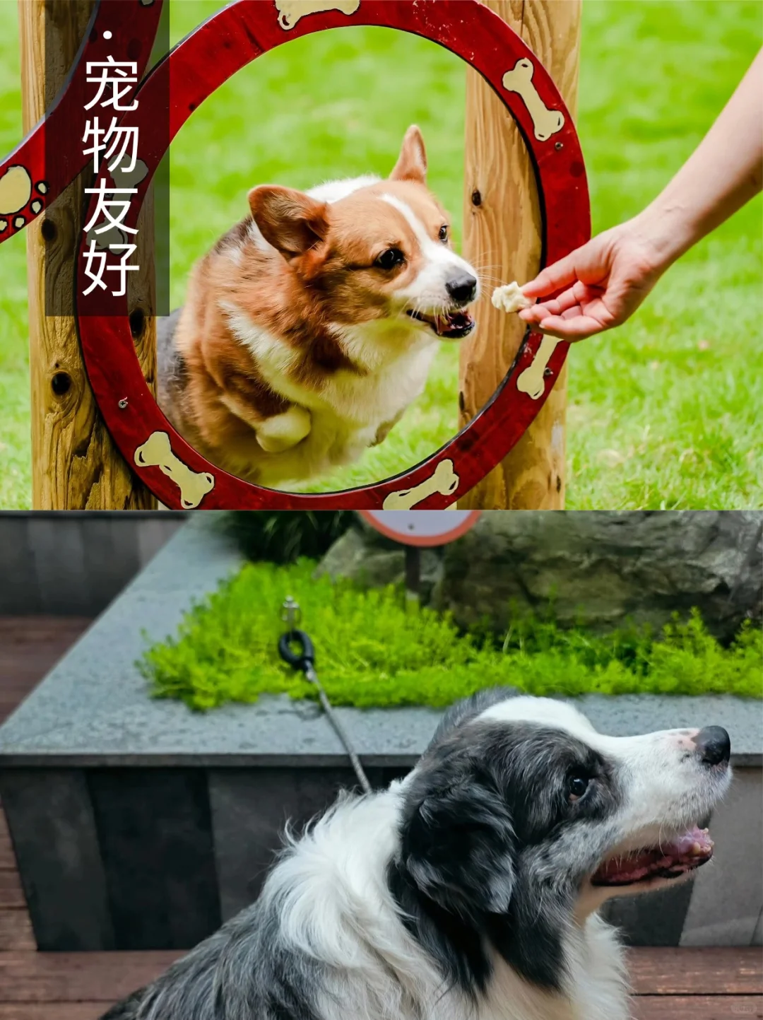 小众❗成都定制4日 | 住青城山顶奢六善🏨