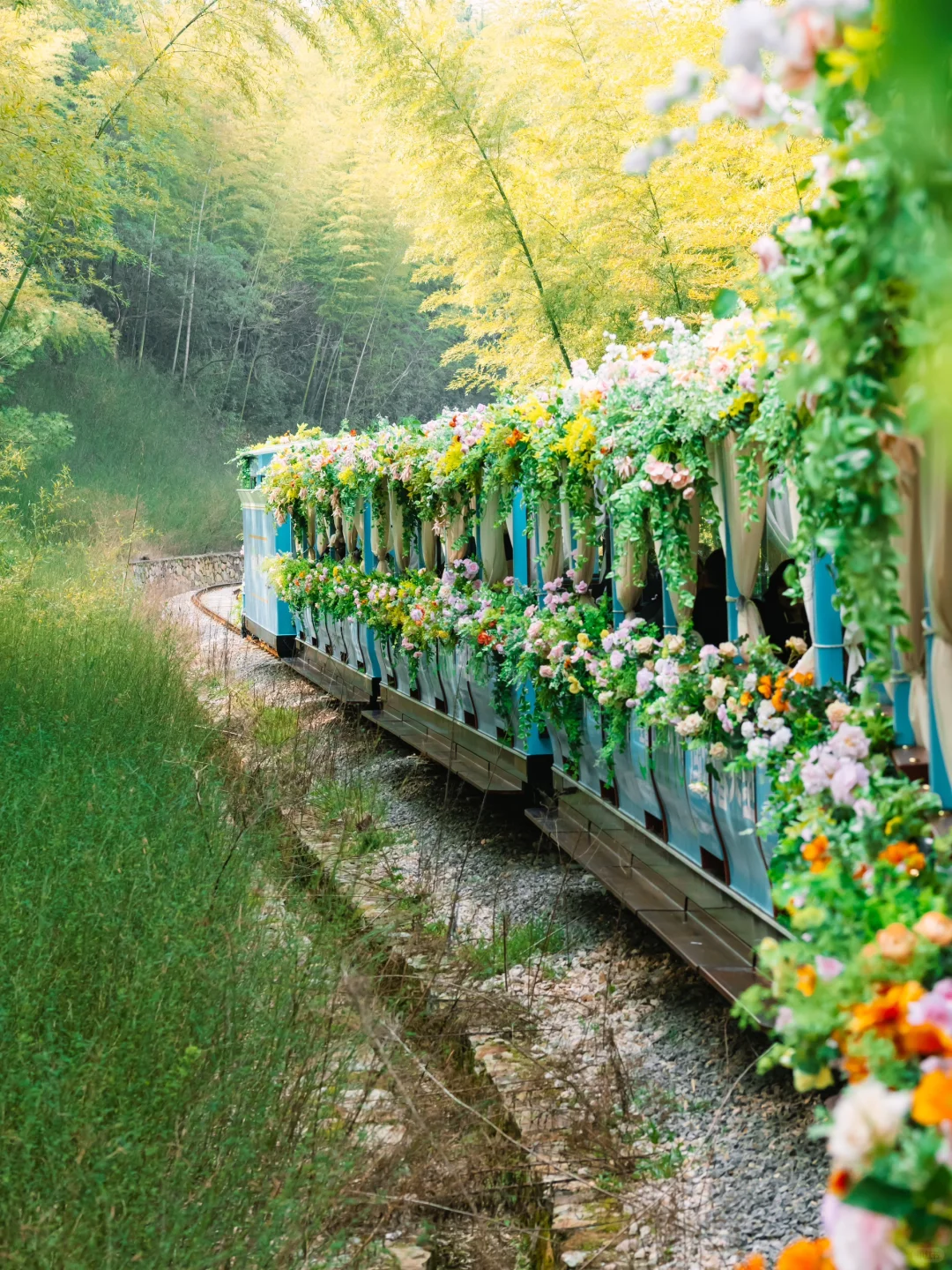 迄今为止，我最喜欢的江南宝藏小镇出现了❗