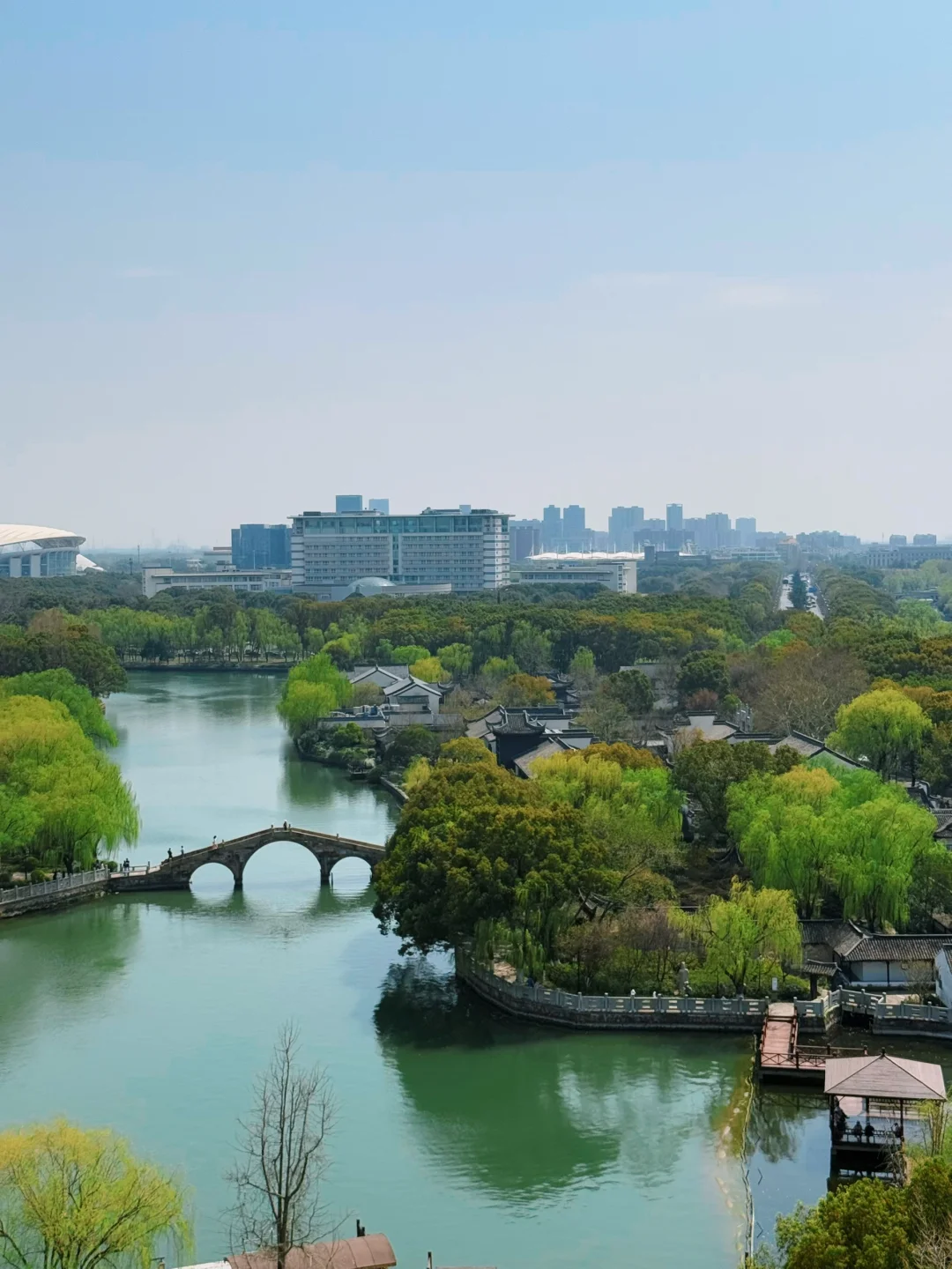 踏青赏花，上海周边人少景美的诗意画卷