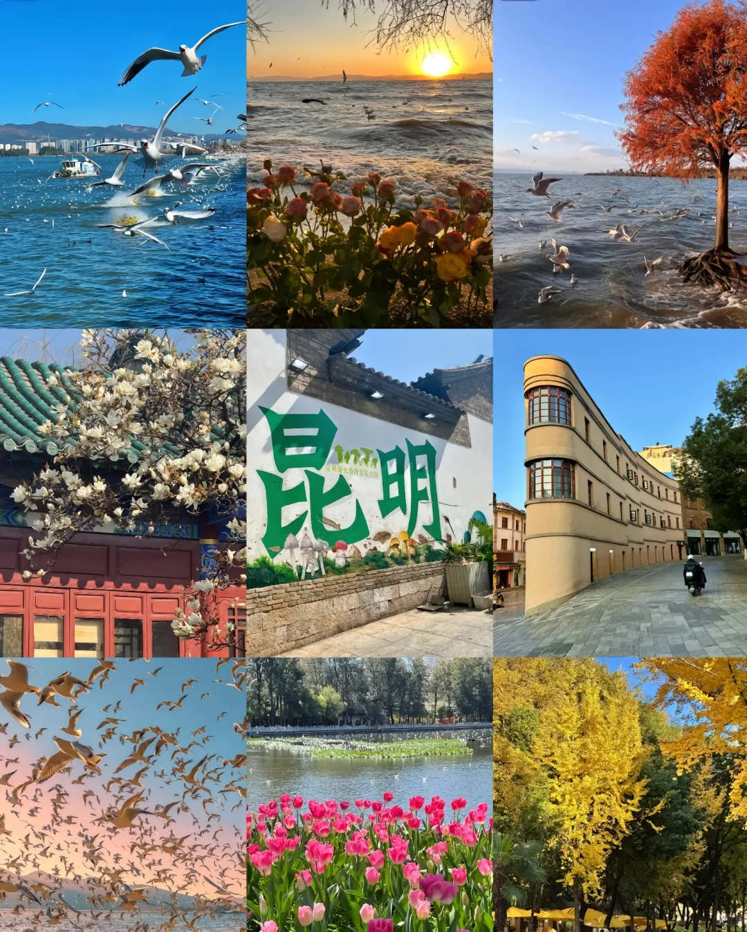 🎉本人亲游云南昆明宝藏旅游景点🌸🌸