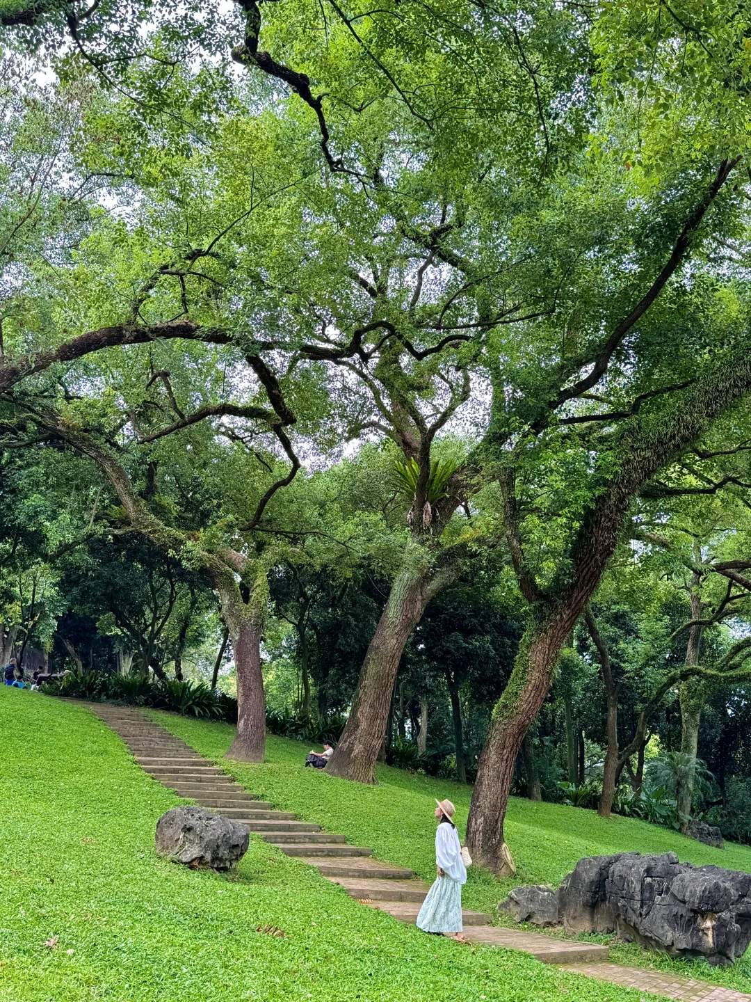 南宁最美的地方都是免费的（live合集）