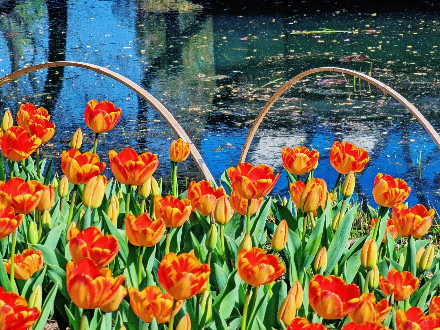 春天取景器 ̗̀📟🌷