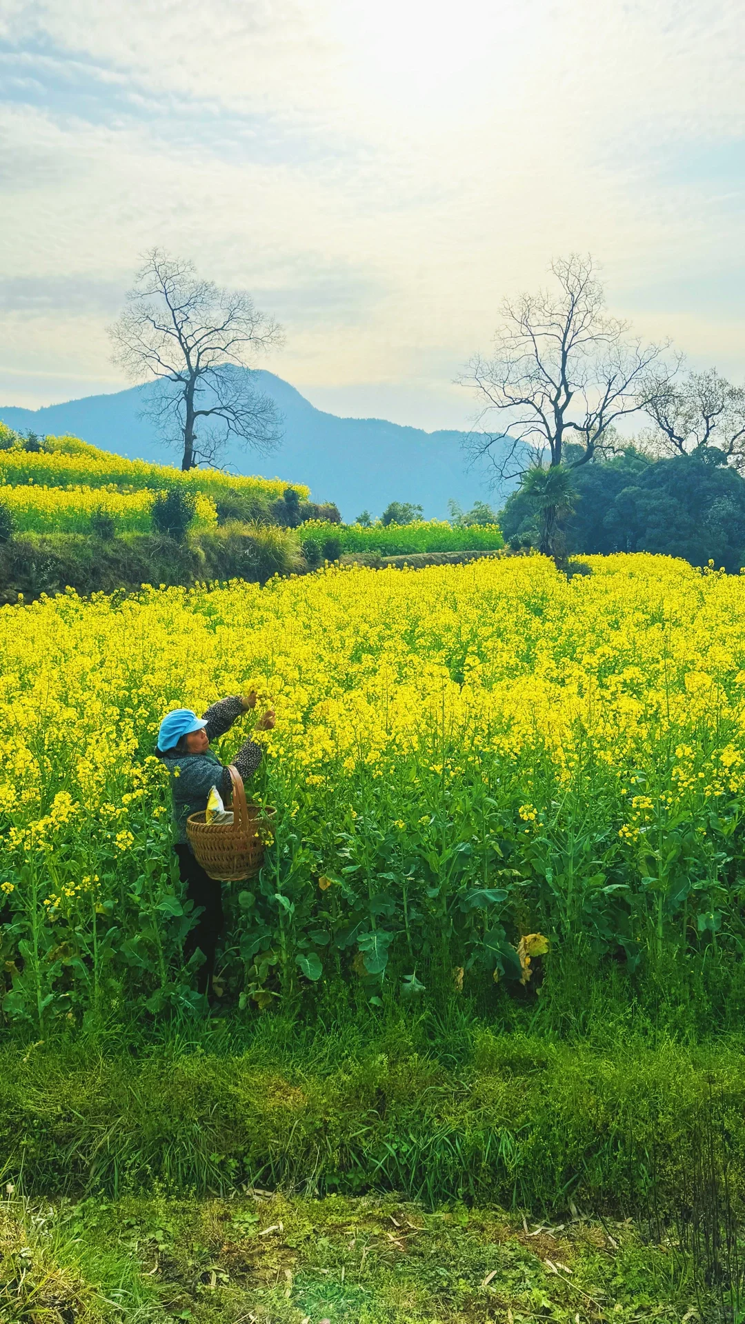 江岭溜腿的仨小时🫴🏻