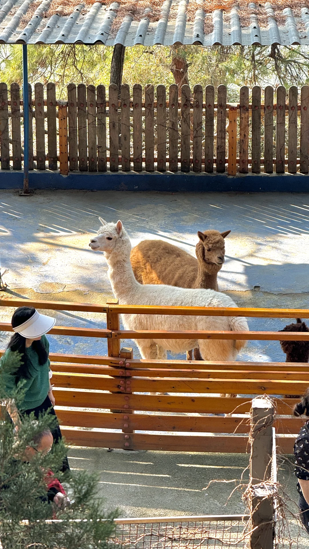 郴州｜白廊是什么神仙地方！真的太舒服了～～