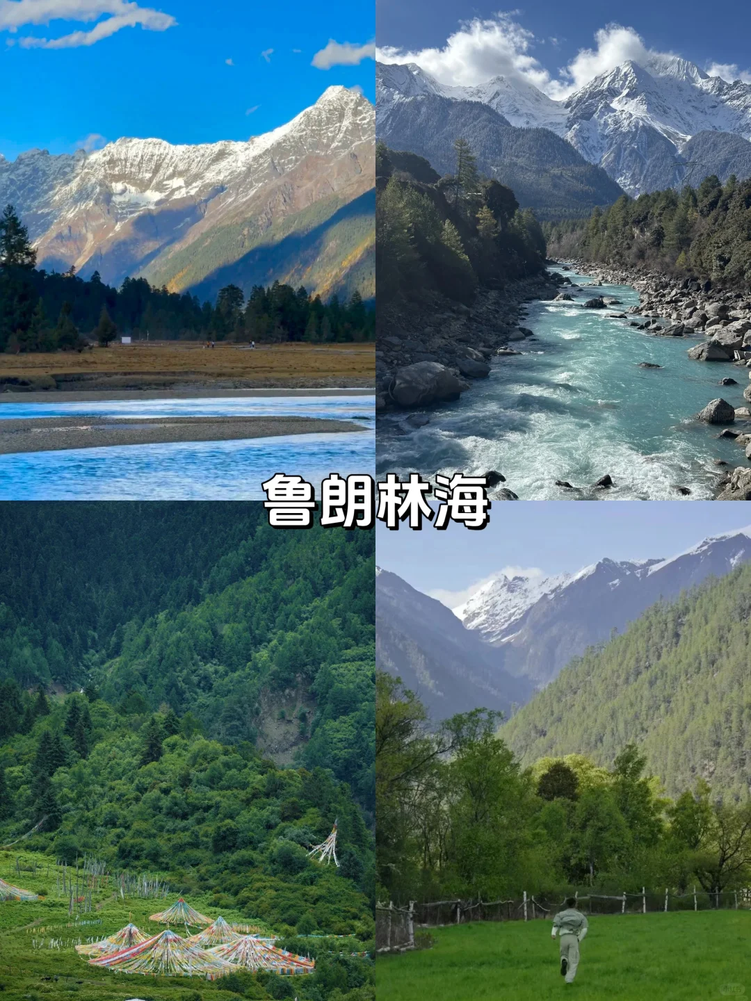 西藏 7 天 6 晚游🌈人均仅花💰4K+