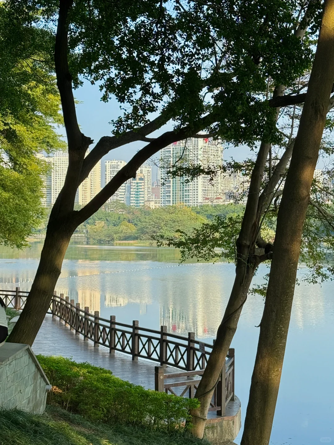 南宁最美的地方都是免费的（live合集）