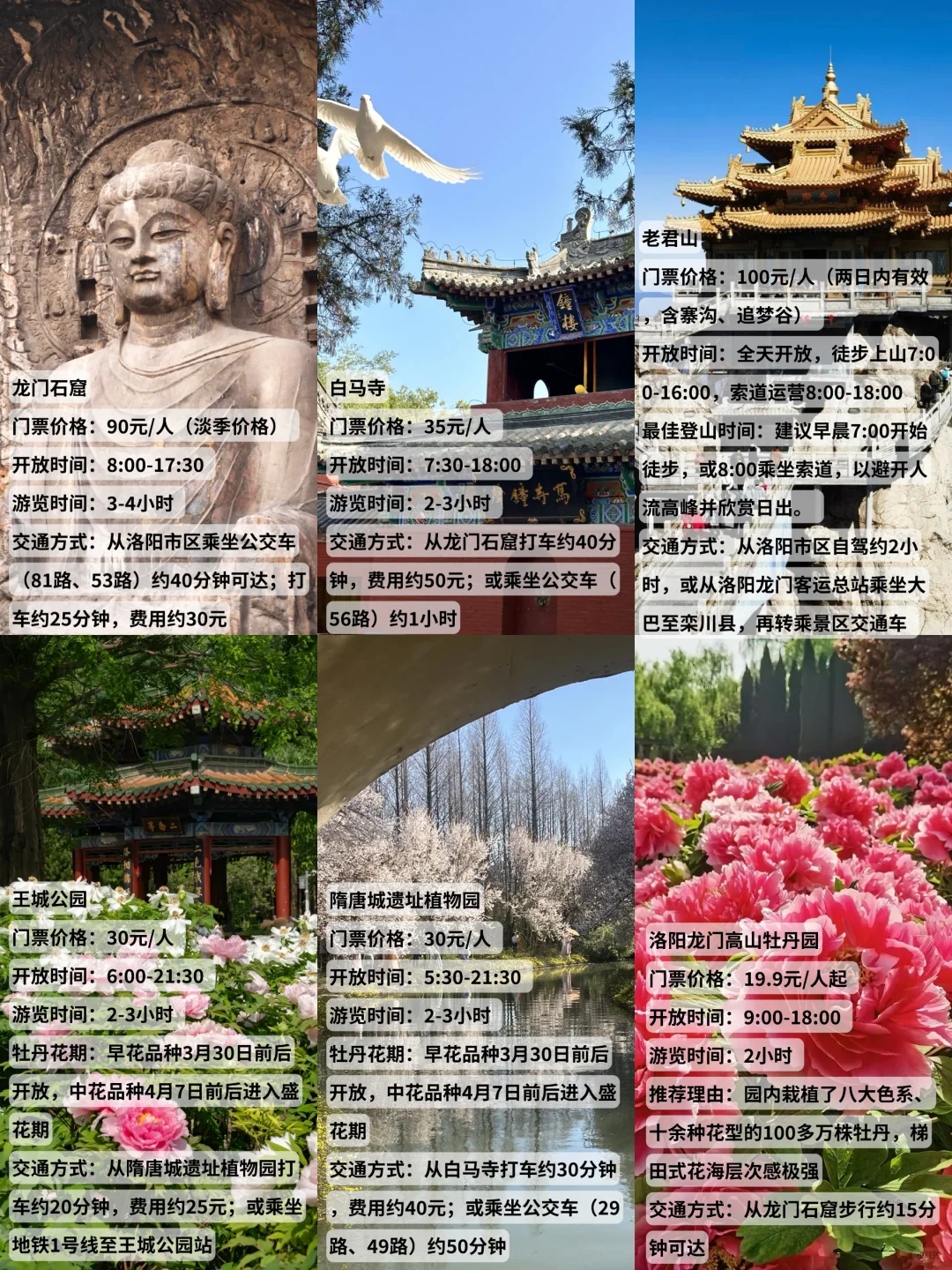 清明节洛阳旅游详细清单（含牡丹观赏）