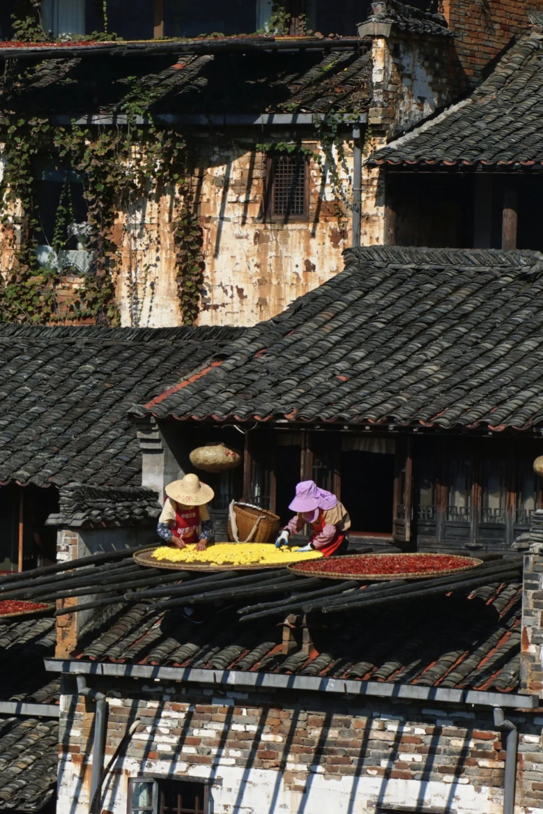 📍终于来到了国家地理上最美的村落