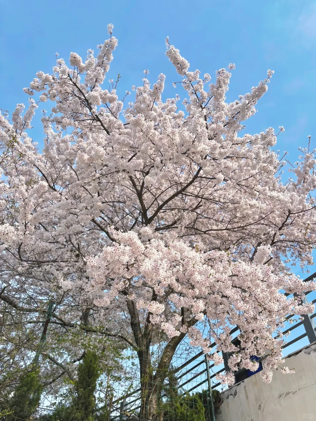 愿来日照的姐妹😭都能刷到这份游玩路线❗