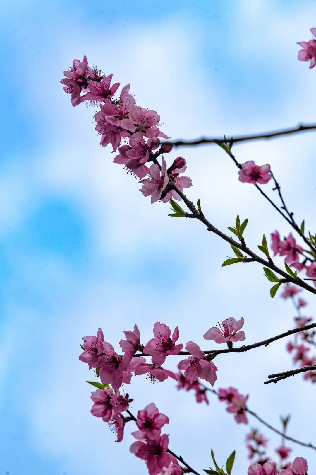 江岭溜腿的仨小时🫴🏻