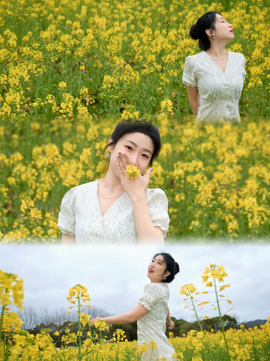 在宏村！！油菜花不用再去婺源啦！！