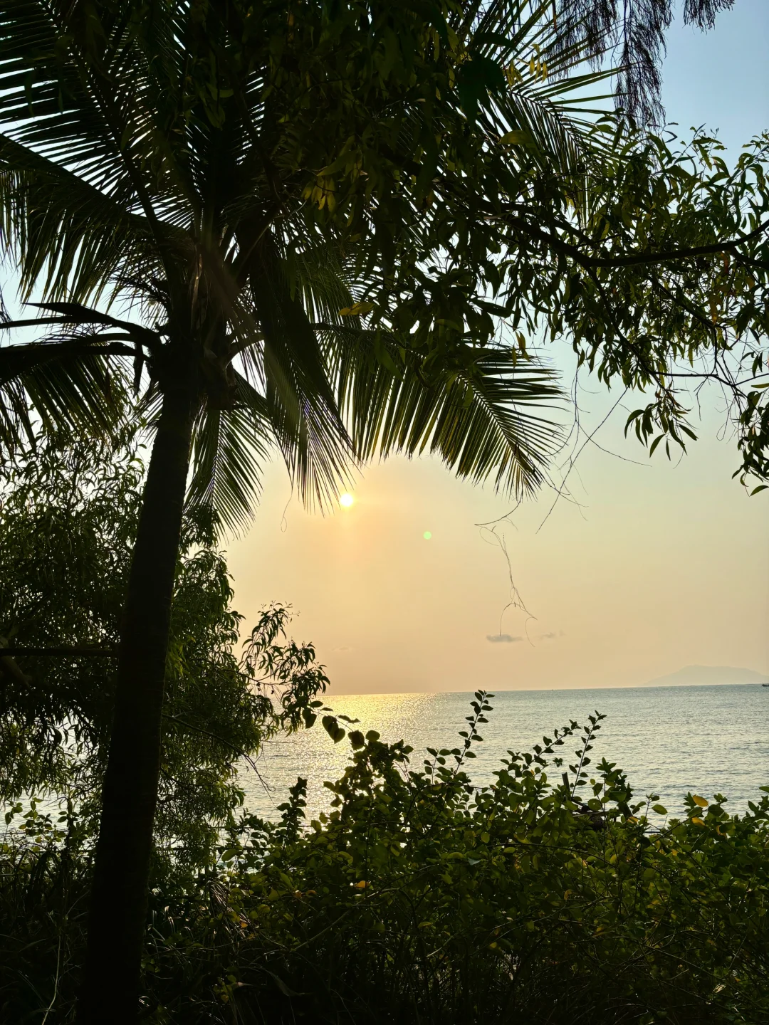 三亚西岛|带娃亲子游保姆级攻略✨
