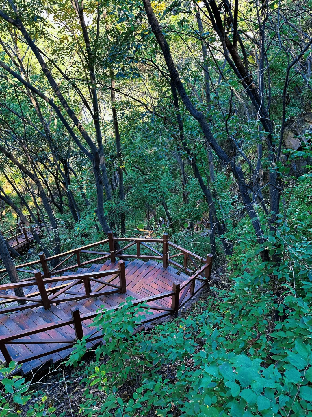 昌平云端步道将开放！清明好去处！附攻略