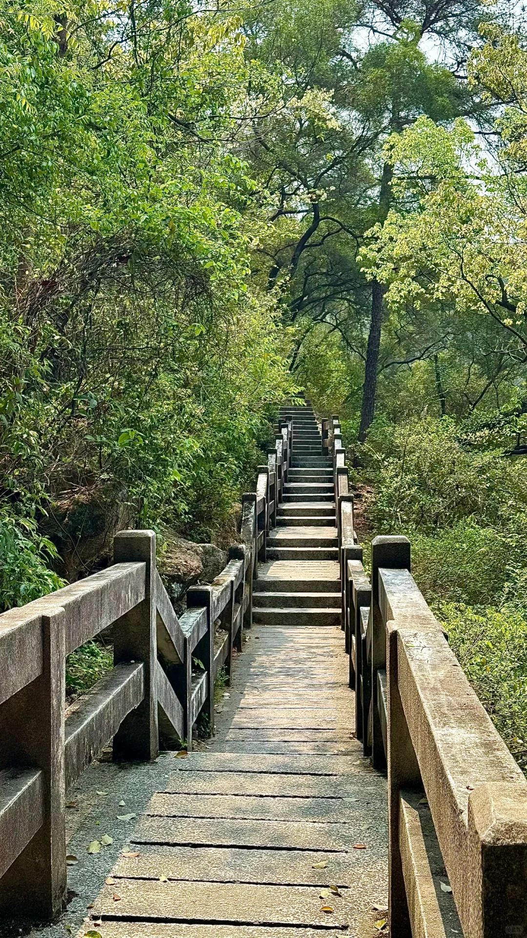 福州鼓山拍照攻略！！！！