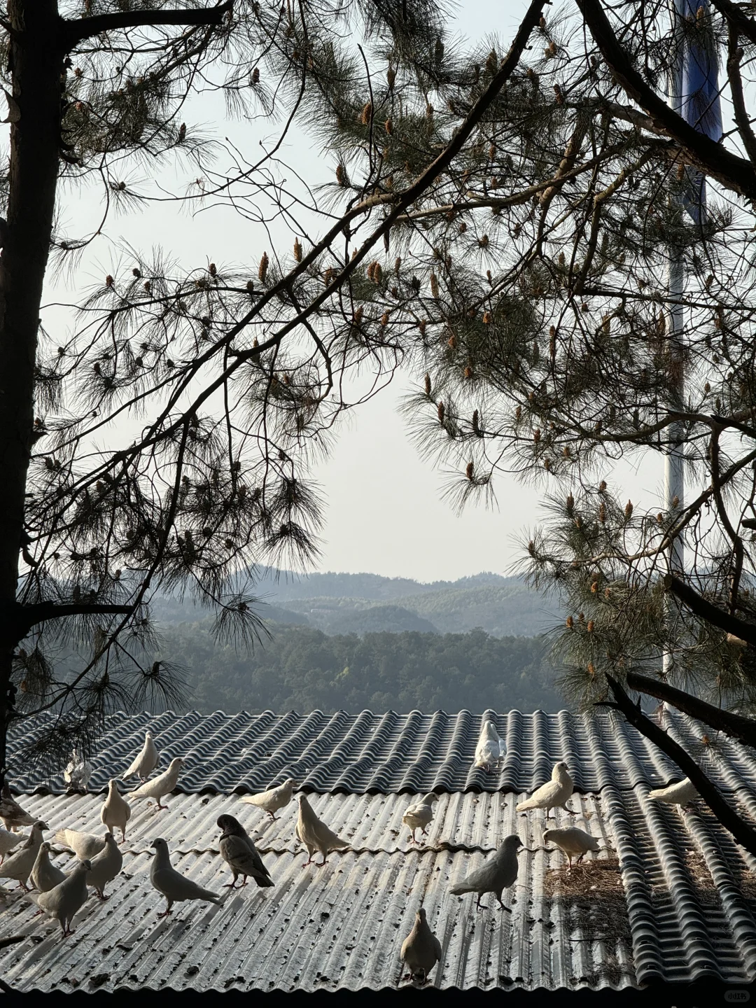 郴州｜白廊是什么神仙地方！真的太舒服了～～