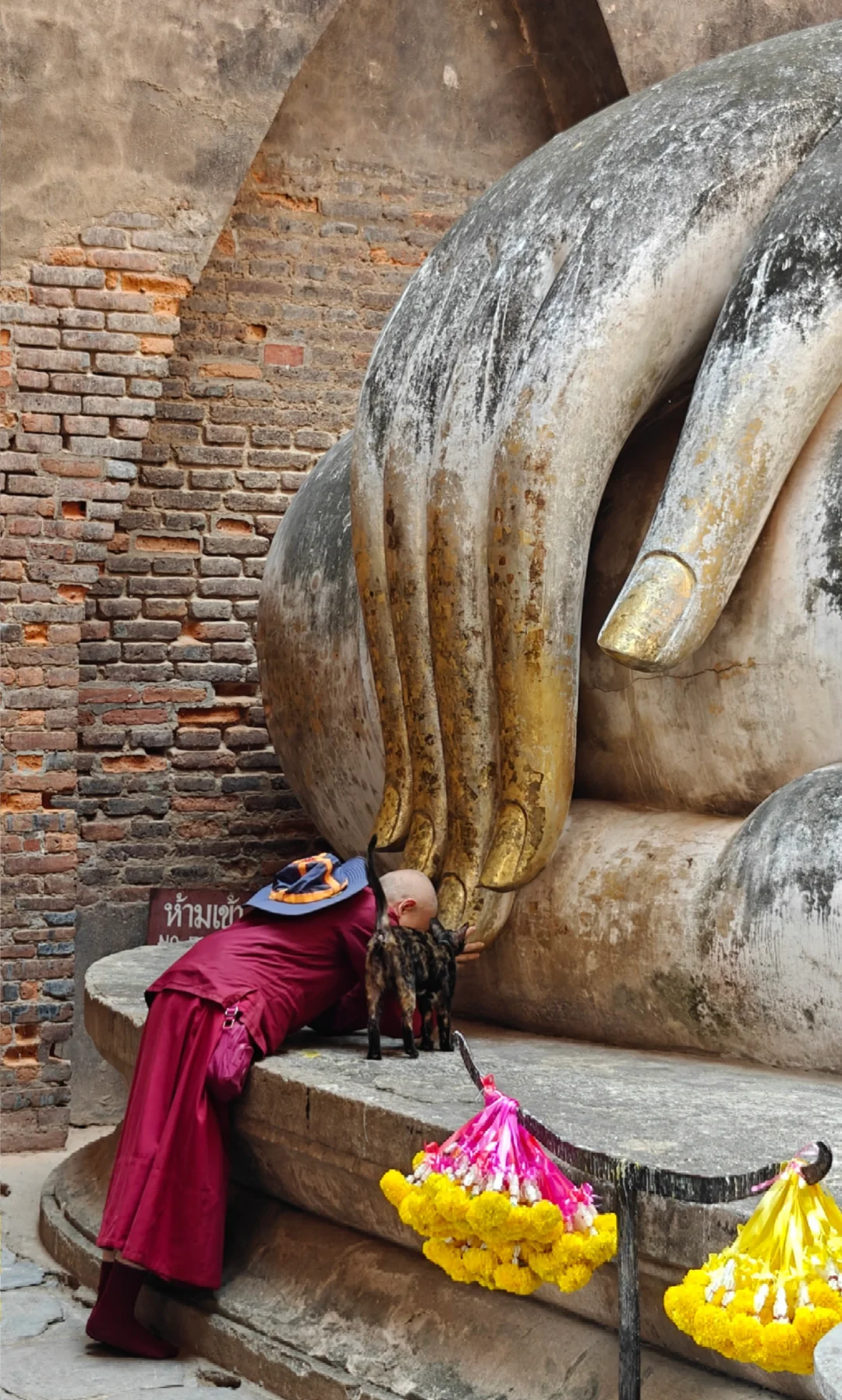 素可泰景区游客精简玩法，一日游还午休