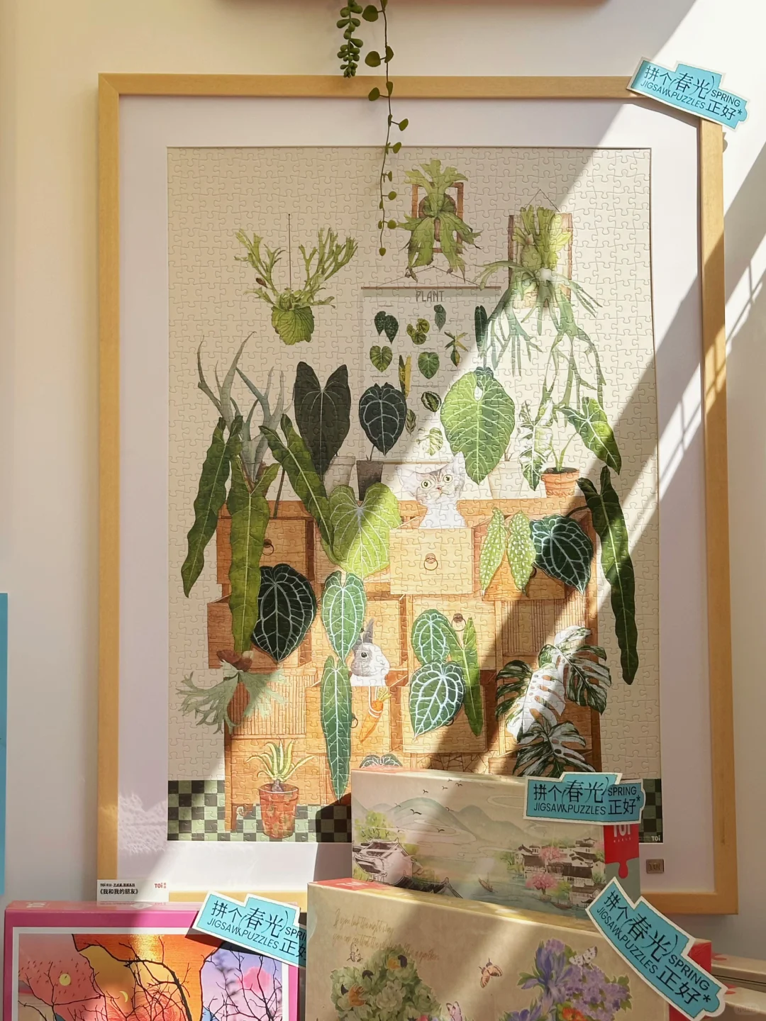 还有生活节day4🧩这个摊位好玩！好逛！好买！