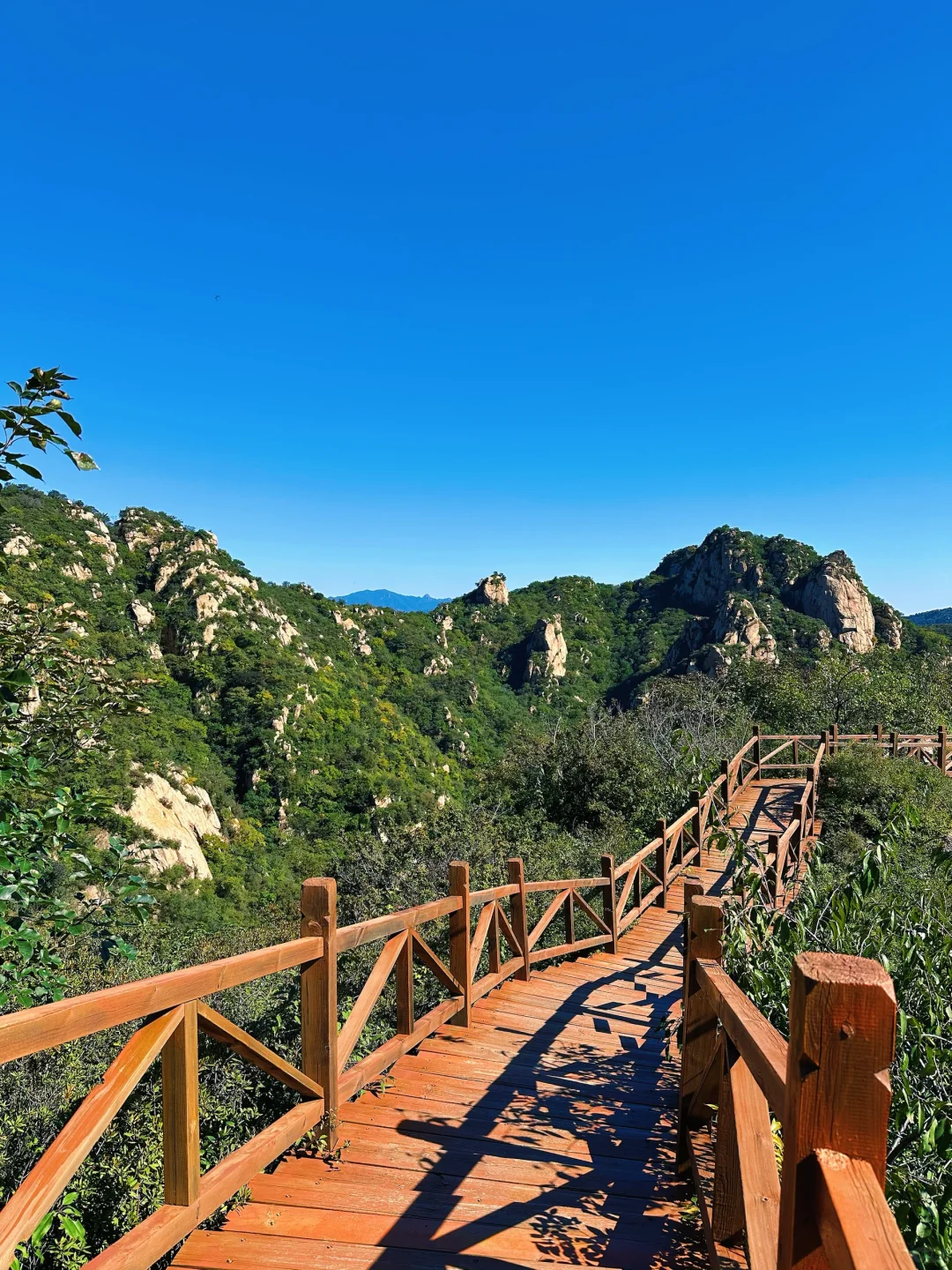 昌平云端步道将开放！清明好去处！附攻略