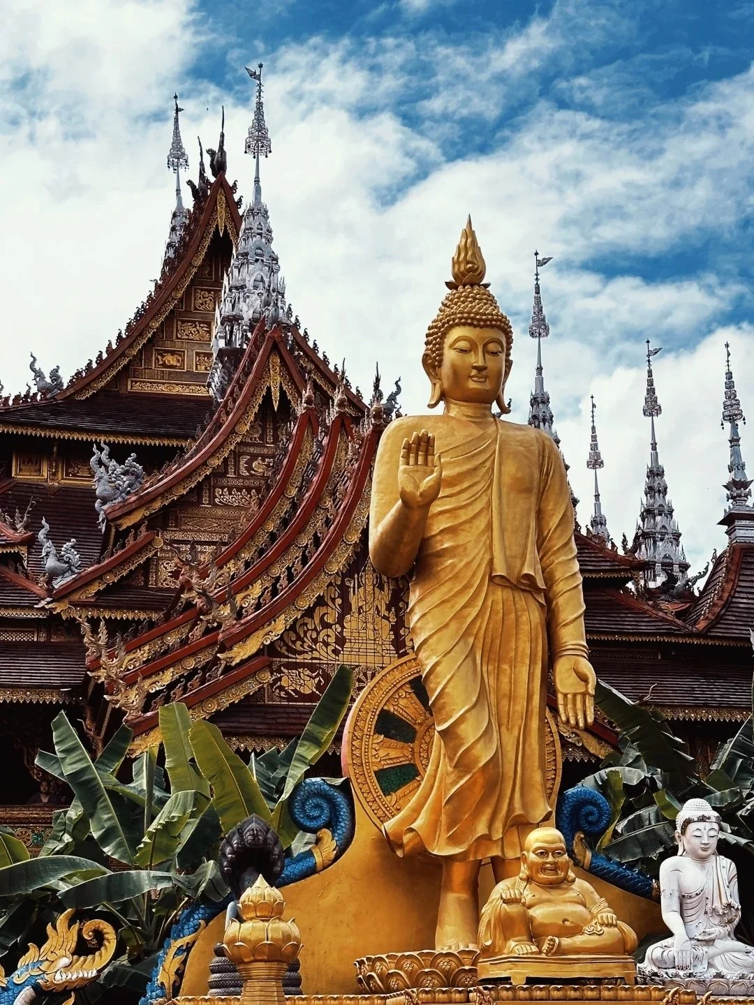 西双版纳必去 9 大景点👍