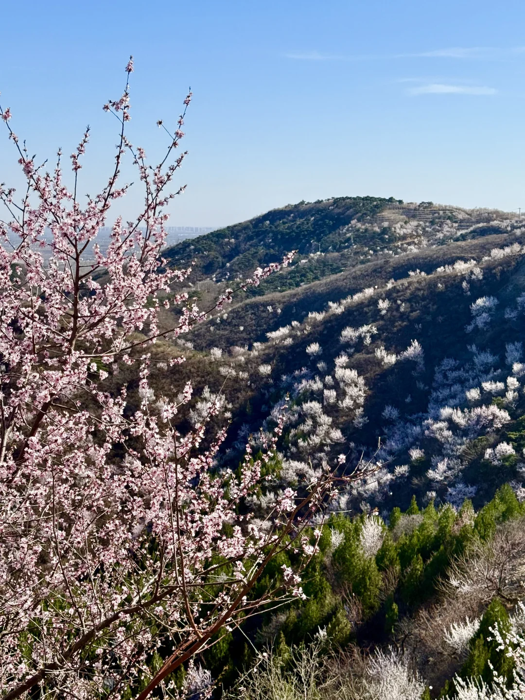 别再挤白虎涧‼️房山小众无人山谷太美🌸
