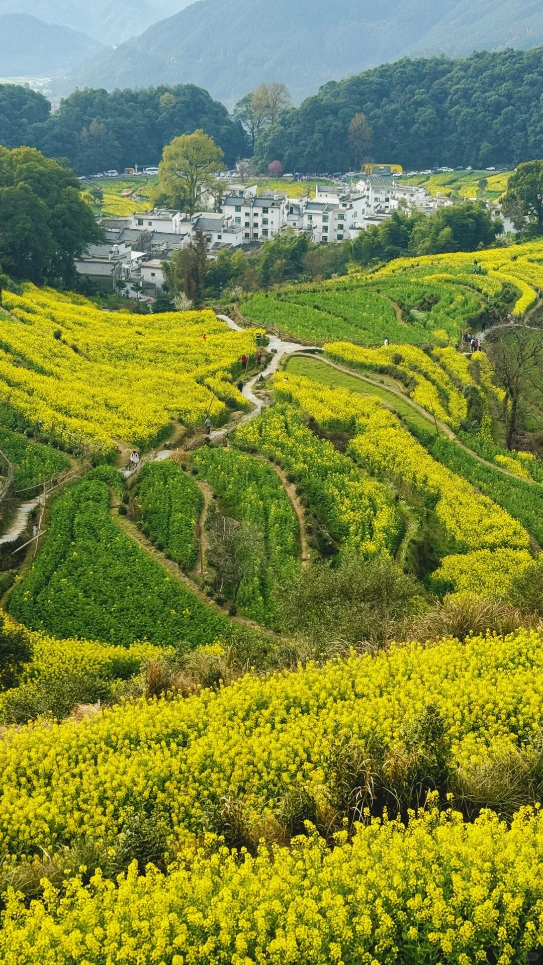 江岭溜腿的仨小时🫴🏻