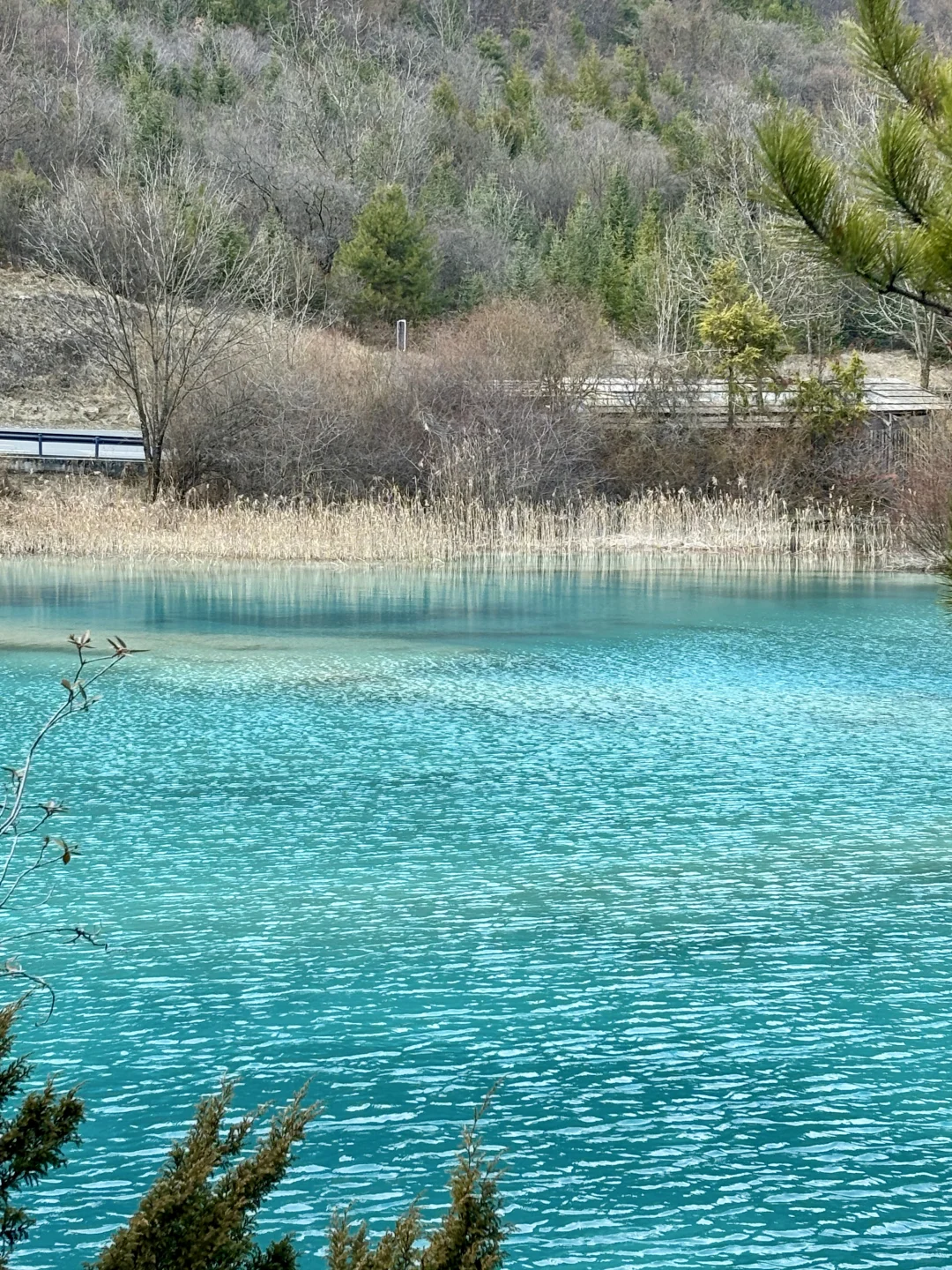 3.8📍我宣布‼这才是九寨沟最美的时刻‼